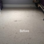 Cranberry Juice Stain Removal Los Gatos-A