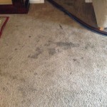 Dirty-Carpet-Los Gatos-CA