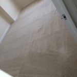 Los Gatos-Carpet-Clean-room