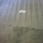 Los Gatos-Carpet-Cleaning-Carpet-Cleaning