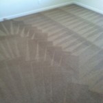 Los Gatos-Carpet-Cleaning-Wall-To-Wall