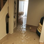 Los Gatoshome-flood-damage-repair