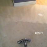 Steam-Carpet-Cleaning-Los Gatos